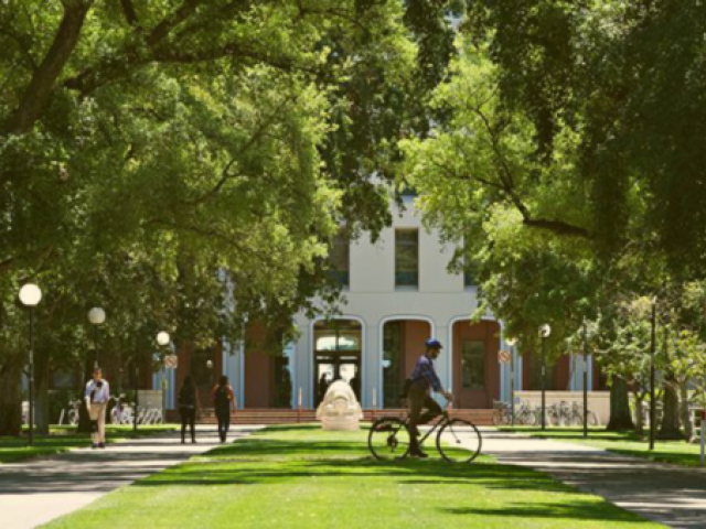 UC Davis campus green
